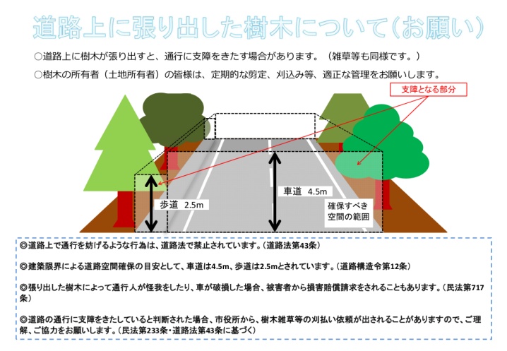 道路上に張り出した樹木について