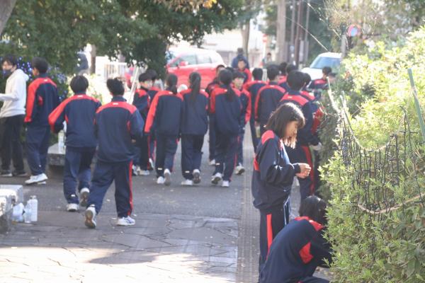 20251124まちなかイルミネーション3