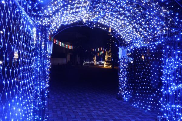 20251124まちなかイルミネーション1