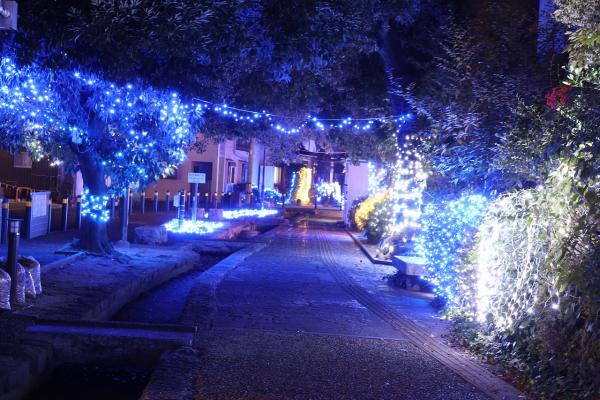 20251124まちなかイルミネーション2