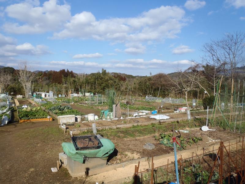 相田（2月）