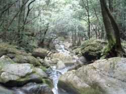 八木山渓流公園