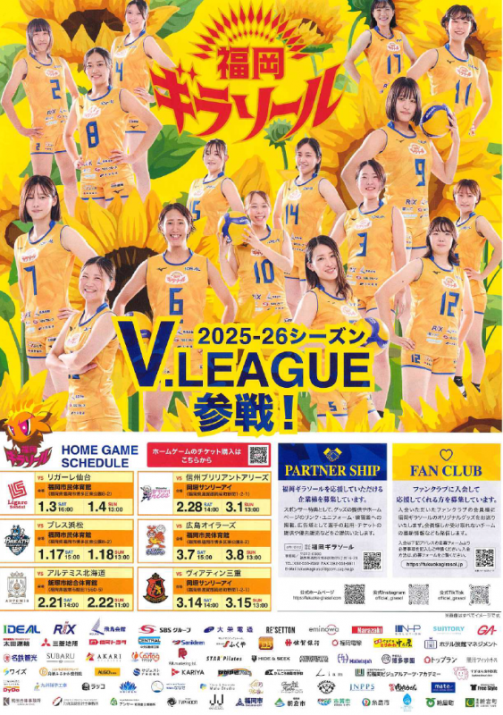 ギラソールチラシ