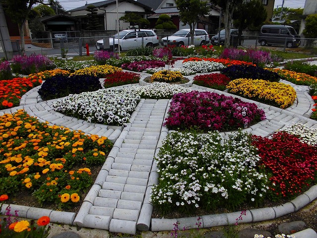 各種花の開花の様子