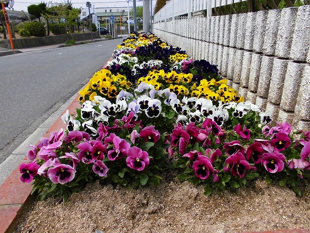 各種花の開花の様子