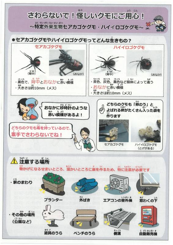 飯塚市域内におけるセアカゴケグモの発見状況の画像1