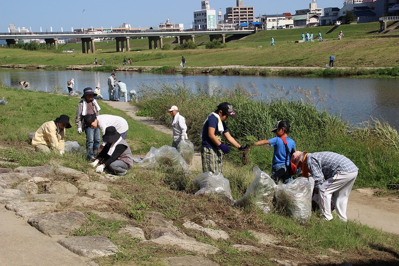 写真:ごみ拾いの様子