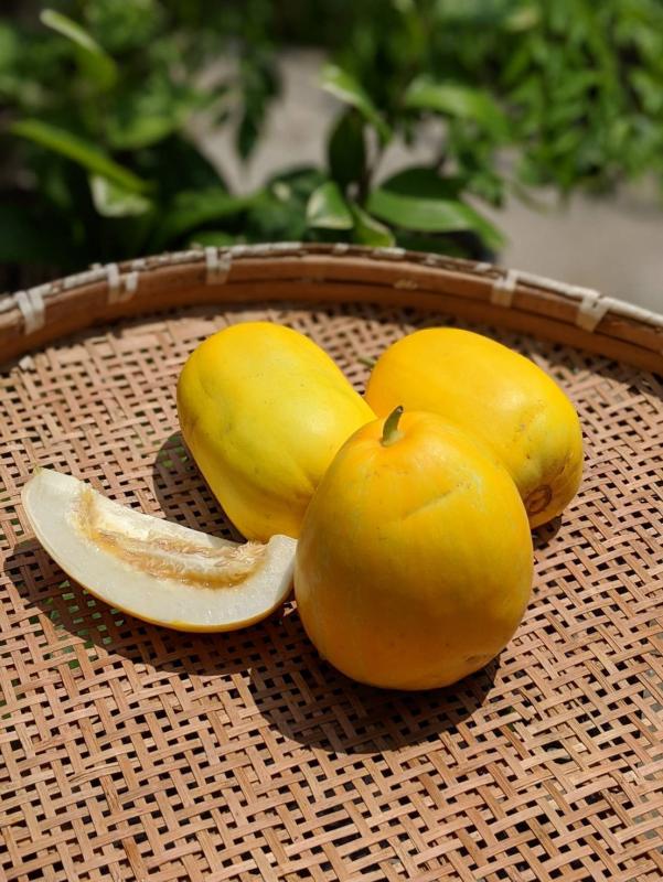 令和4年度認定品の画像6