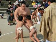 相撲の写真