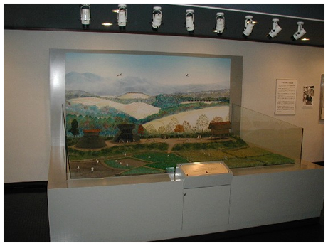 立岩遺跡立体模型室の画像