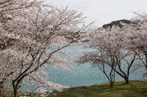 笠木ダム公園の画像
