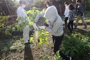 まちづくり協議会　こもだっこ農園の画像