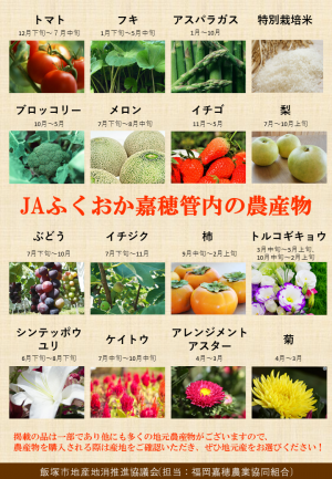 地産地消PRチラシ裏