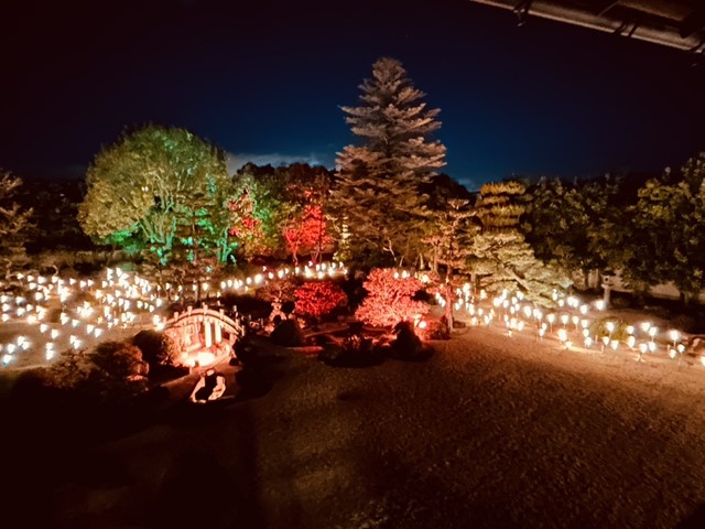 旧伊藤邸ライトアップ（庭園3）