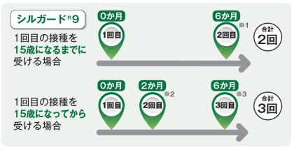 シルガード9の接種方法のイラスト