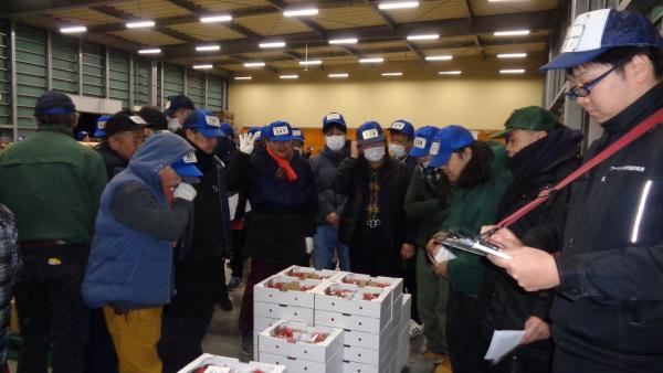 飯塚市地方卸売市場での「初競り」
